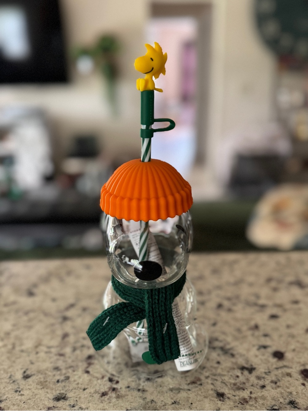 2026 Starbucks x Snoopy Cold Cup Glass